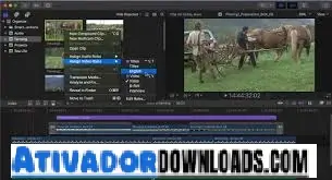 Interface image Final Cut Pro 